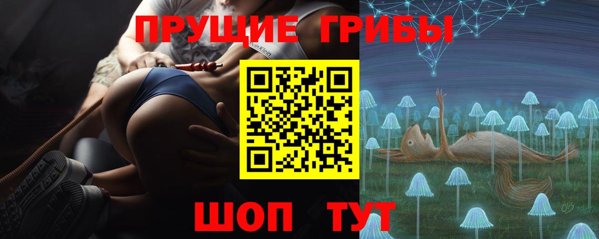 Псилоцибиновые грибы Cubensis  Псилоцибиновые грибы мухоморы  Вход с VPN  купить наркотики цена  Крымск 