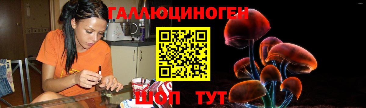 Псилоцибиновые грибы мухоморы Крымск